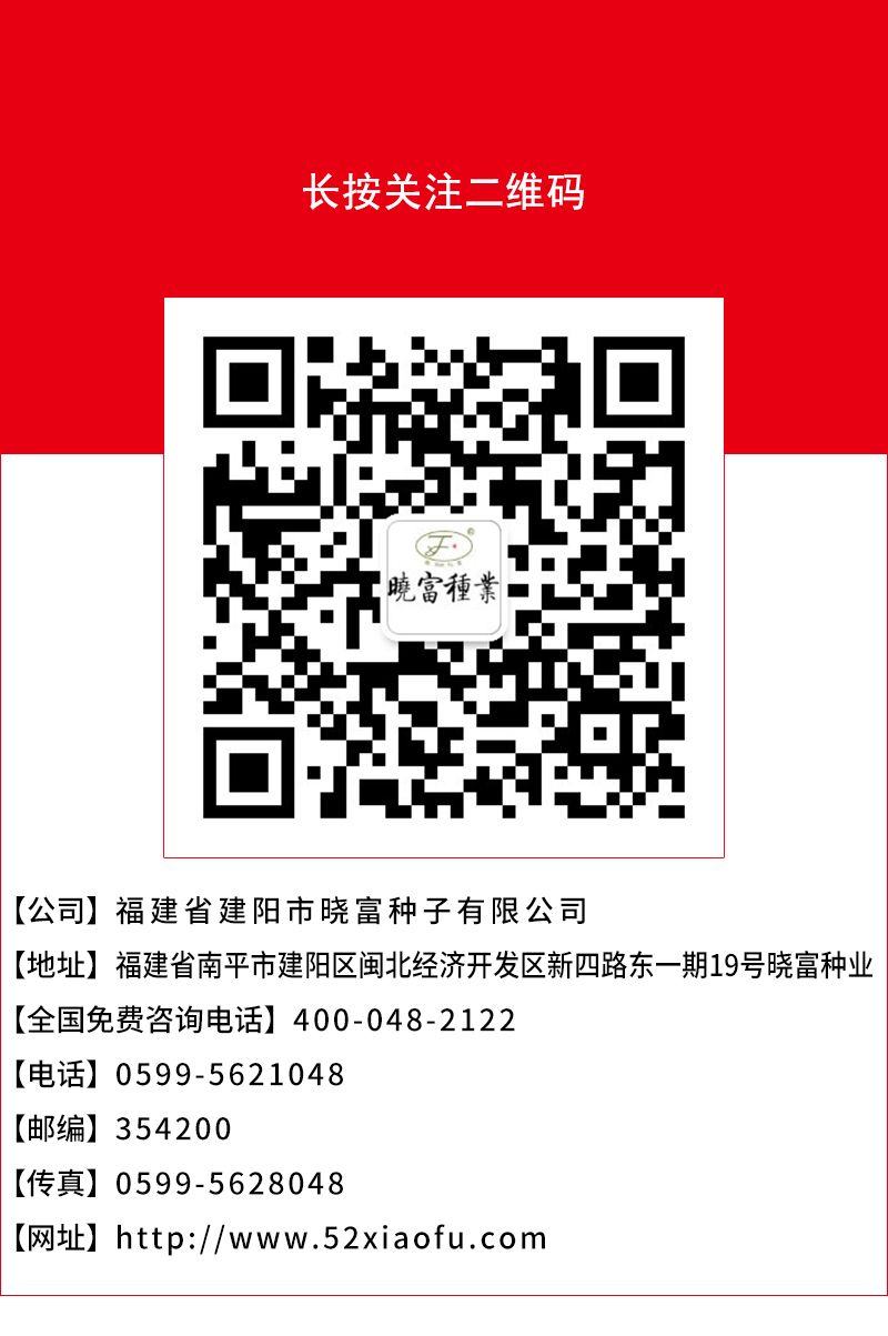 页底.jpg