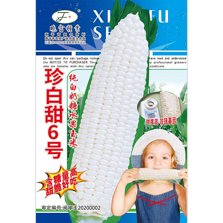 珍白甜6号