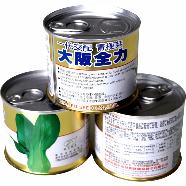 大阪全力