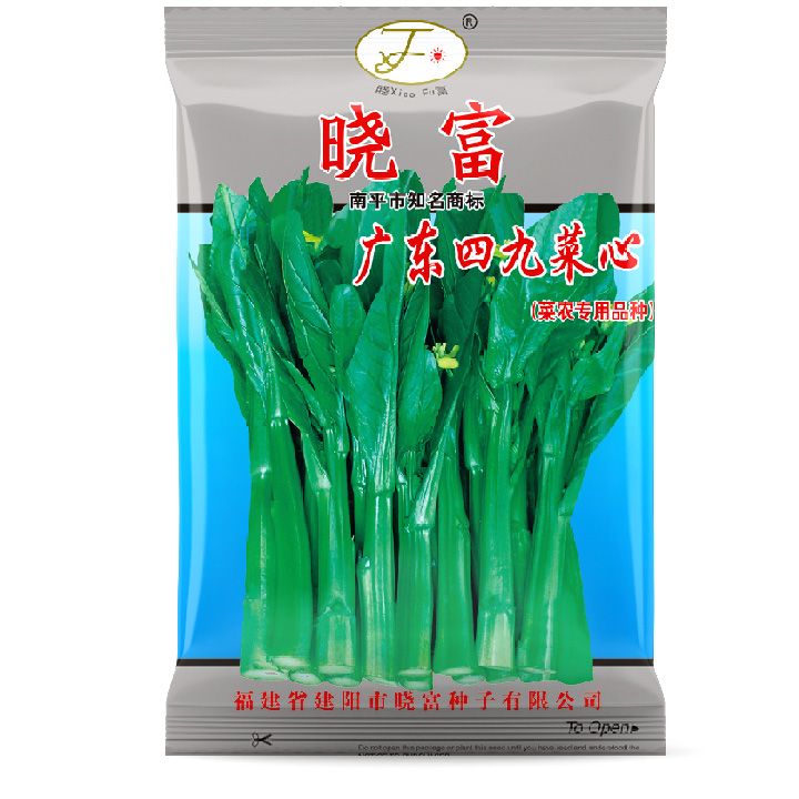 广东四九菜心
