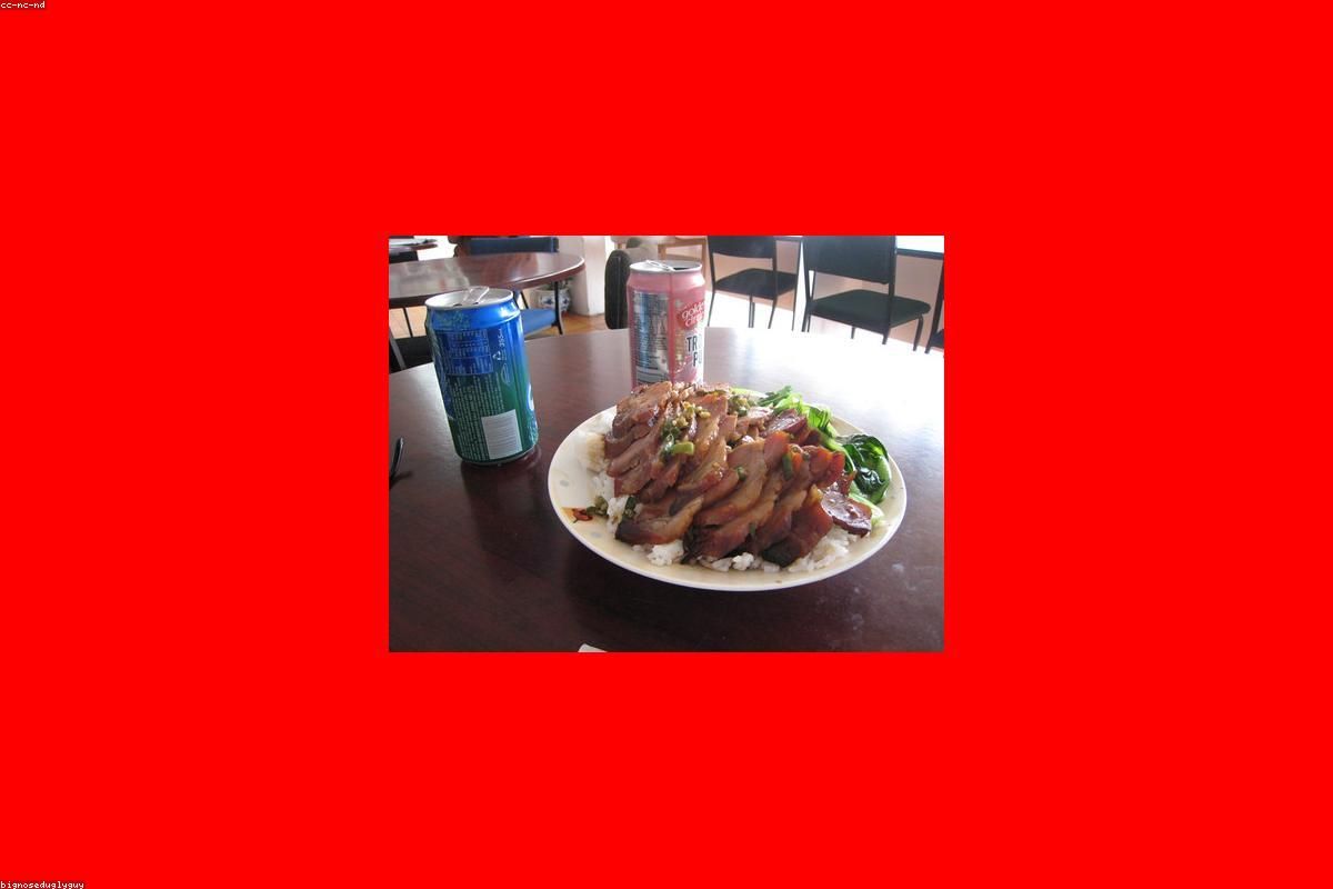 奶油青鸟